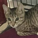 Photo of Leroya