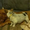 Photo of Daisy