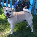 Photo of Nigel