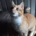 Photo of Hans