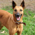 Photo of Flash