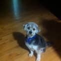 Photo of Soley (On Trial 5/11/13)