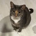 Photo of Rosie