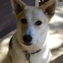 Photo of Pippa