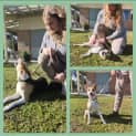 Photo of 🌷 Daisy 🌷C04482