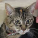 Photo of Penelope