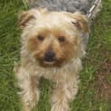 Photo of Annabelle