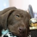Photo of Floyd (D2516) 