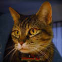 Photo of Penelope