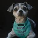Photo of Jinx