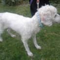 Photo of Mitzy
