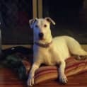 Photo of Maya