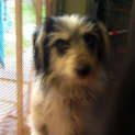 Photo of Ernie