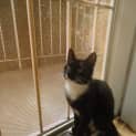 Photo of Edie
