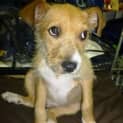 Photo of Milly