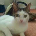 Photo of Millie
