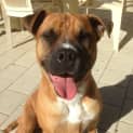 Photo of Thor