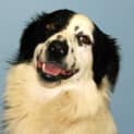 Photo of Reggie