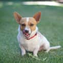 Photo of Benny