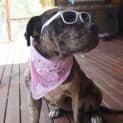 Photo of Cindy