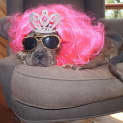 Photo of Cindy