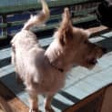 Photo of ~Max~ Your Next Great Mate!