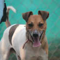Photo of Charlie