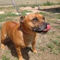 Photo of Maggie