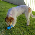 Photo of Libby *On Trial In Her New Home*