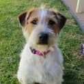 Photo of Libby *On Trial In Her New Home*