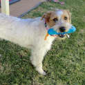 Photo of Libby *On Trial In Her New Home*