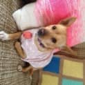 Photo of Sandy