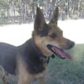 Photo of Marla