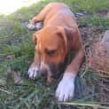 Photo of Max