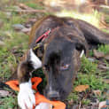 Photo of Cassie