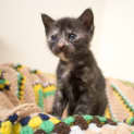Photo of Polly