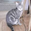 Photo of Kira