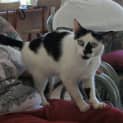 Photo of Polka