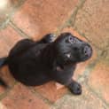 Photo of Lexi Ap0041