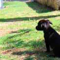 Photo of Lexi Ap0041