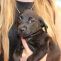 Photo of Lexi Ap0041
