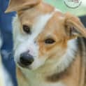 Photo of Jedda Id18340