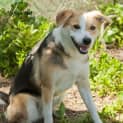 Photo of Jedda Id18340