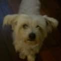 Photo of Angel
