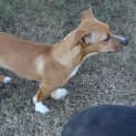 Photo of Maggie