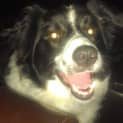 Photo of Jet