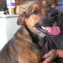 Photo of Tank