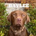 Photo of Baylee 