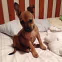 Photo of Jill Ap0043