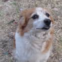 Photo of Heidi